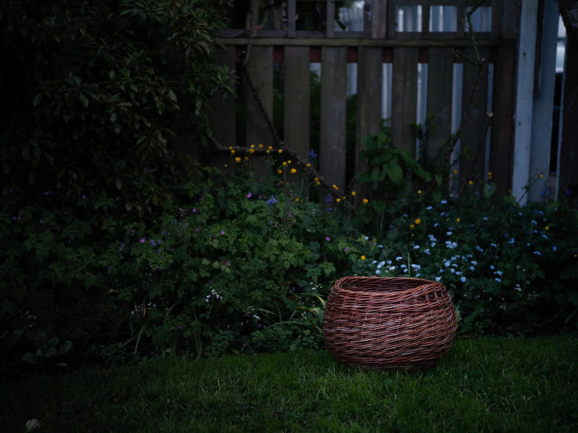 A round willow basket on the grass at dusk, in front of a flower bed and a weathered picket fence.